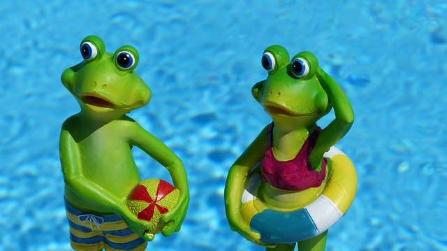 Frosch im Pool