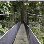 Hängebrücke in Costa Rica im Dschungel - Karibik