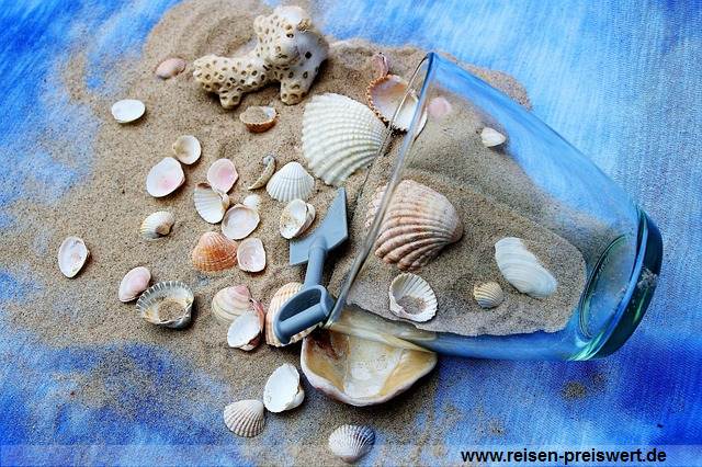 Urlaub am Strand - Muscheln Sand und Wasser