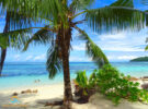 Indischer Ozean: Inselurlaub auf Mauritius, La Réunion, Seychellen und den Malediven