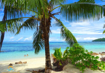 Indischer Ozean: Inselurlaub auf Mauritius, La Réunion, Seychellen und den Malediven