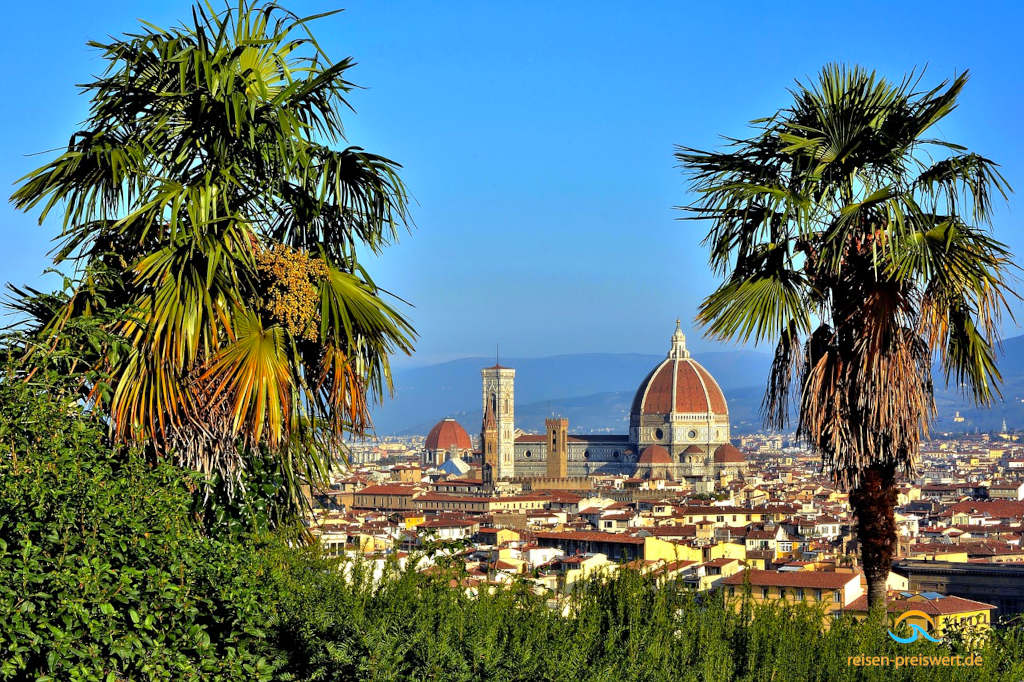 Blick von einer Anhebe aus auf die Kathedrale von Florenz. Links und rechts je eine Palme - dahinter das Stadtbild mit dem Dom in der Mitte.