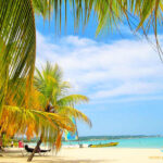 ein typischer Traumstrand auf Jamaika. Weißer Sandstrand, blaues Meer. Links stehen Palmen und recht liegen Boote an einer Bucht