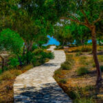 Romantischer gepflasterter Weg unter Bäumen in Richtung Meer - Makronissos auf Zypern