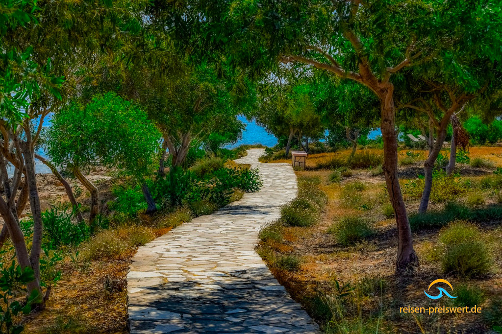 Romantischer gepflasterter Weg unter Bäumen in Richtung Meer - Makronissos auf Zypern